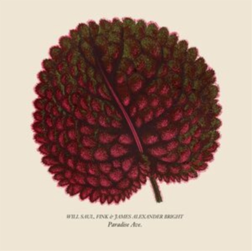 Paradise Ave/Product Detail/Dance