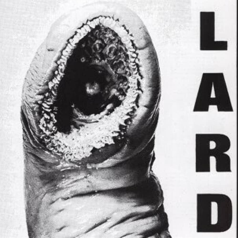 Power Of Lard - White Vinyl/Product Detail/Rock/Pop