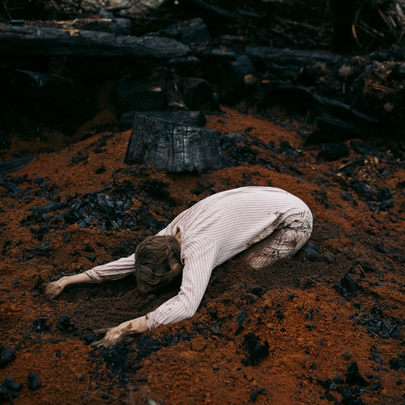 Keeper Of The Shepherd - Birch White Vinyl/Product Detail/Blues