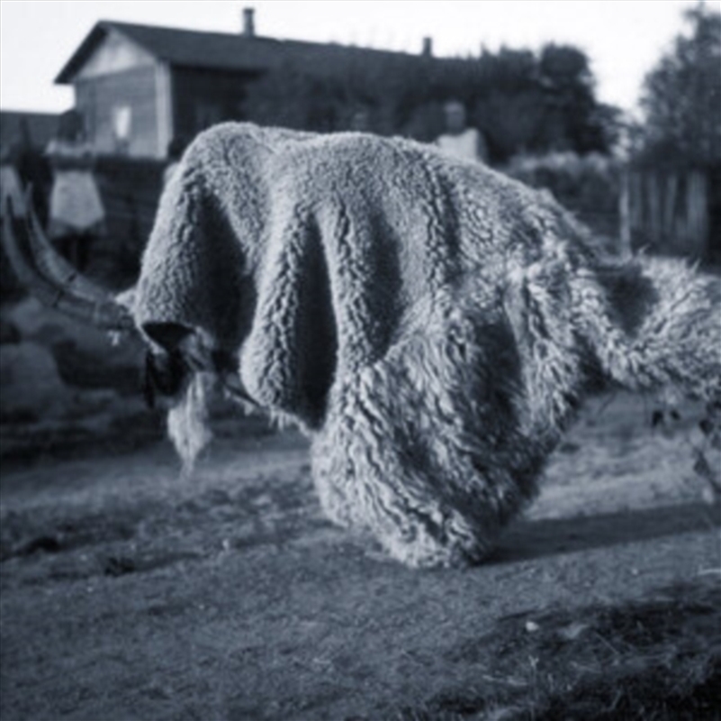 Pneuma/Product Detail/Dance