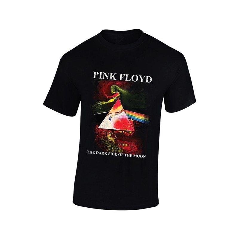 Pink Floyd - Dark Side Of The Moon Art Print - Black - Medium/Product Detail/Shirts