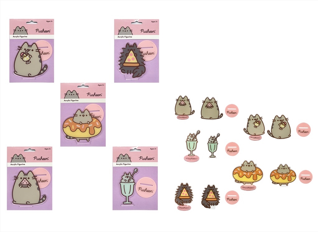 Pusheen Acrylic Figurine/Product Detail/Figurines