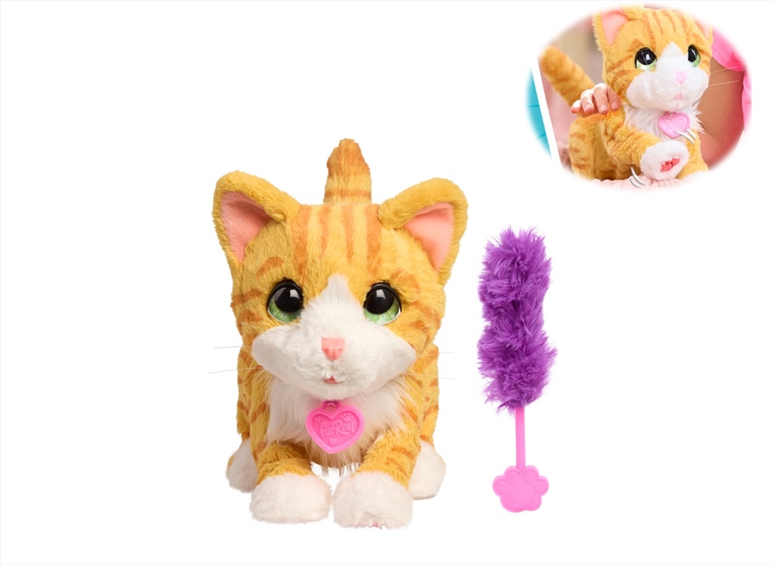 FurReal Bella the Biscuit Making Kitty/Product Detail/Toys