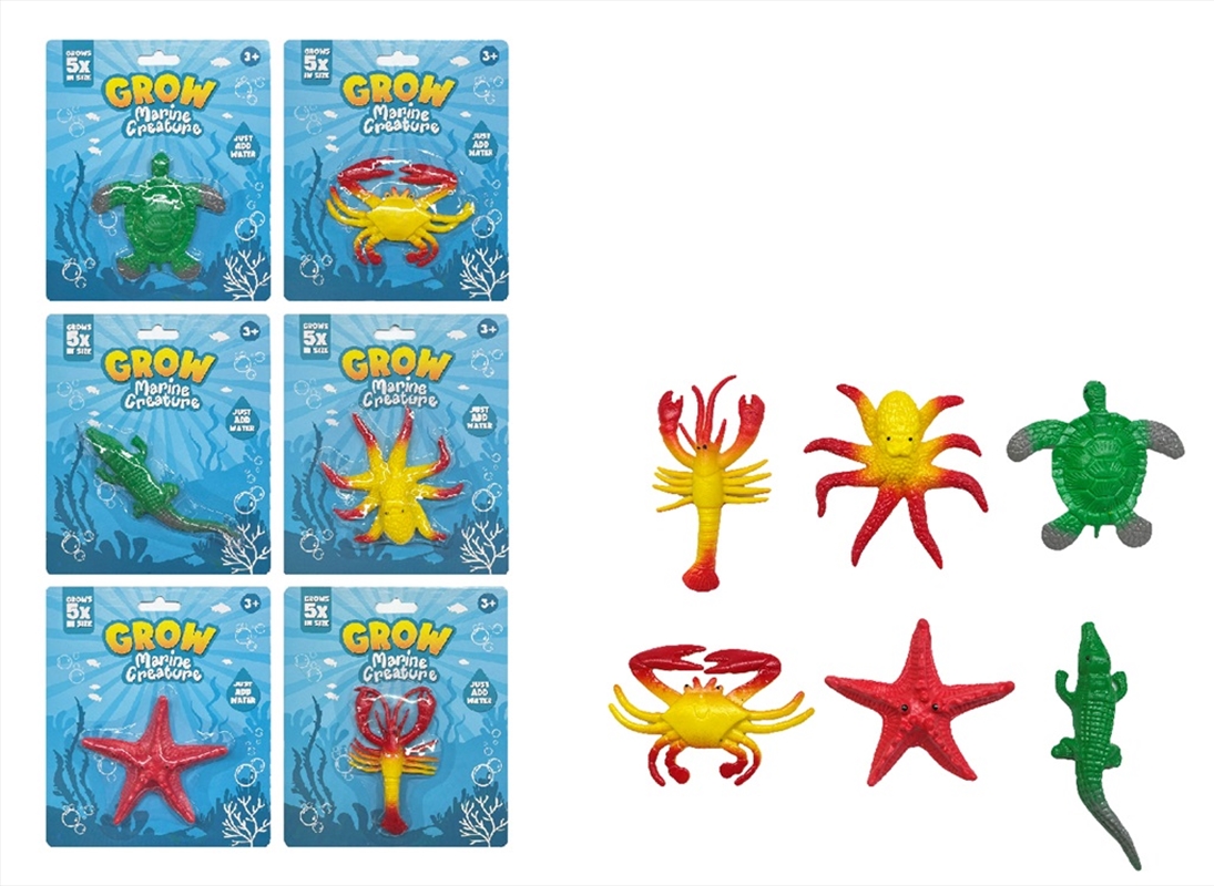 Grow Marine Creatures/Product Detail/Toys