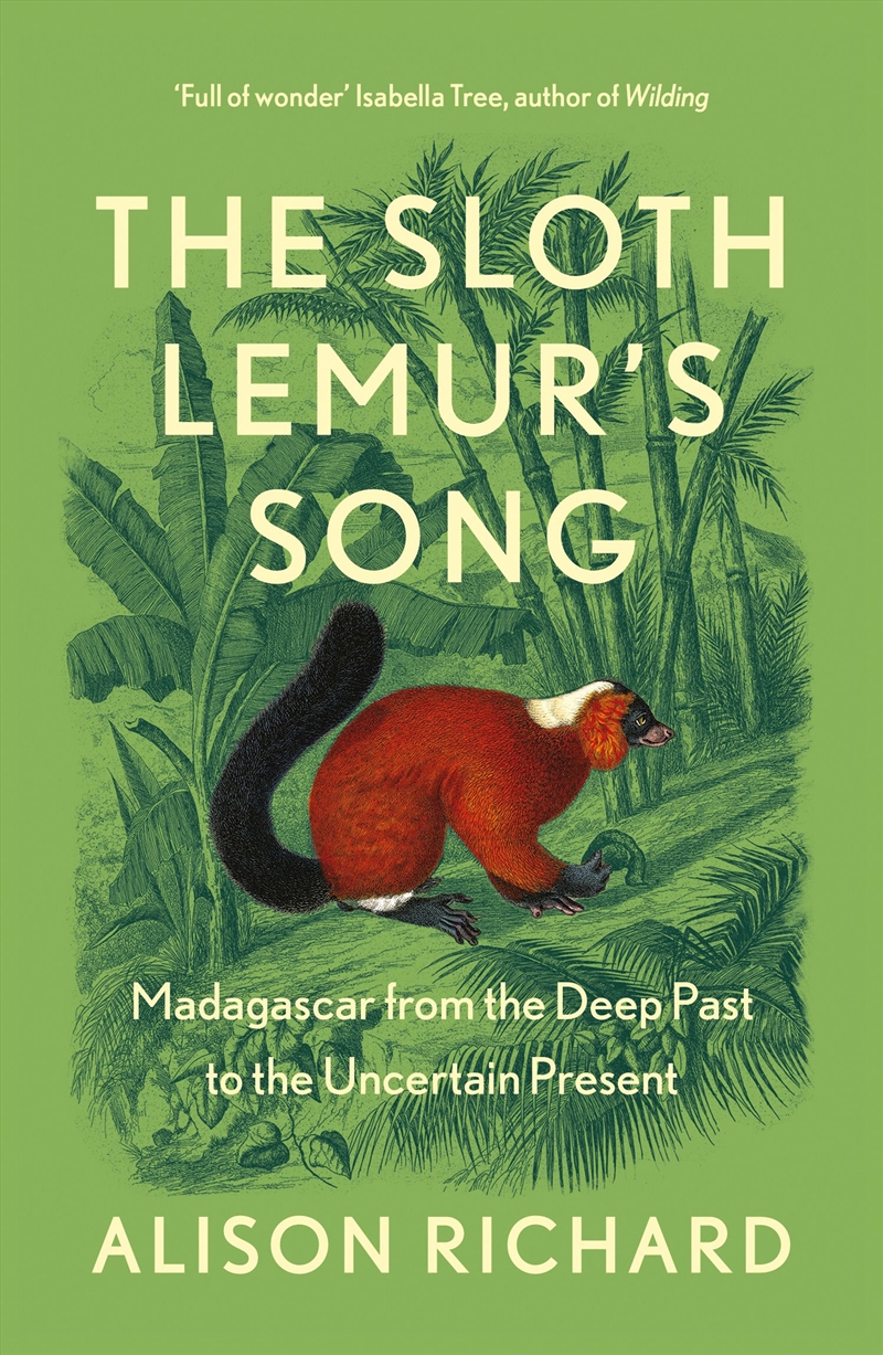The Sloth Lemur's Song/Product Detail/Animals & Nature