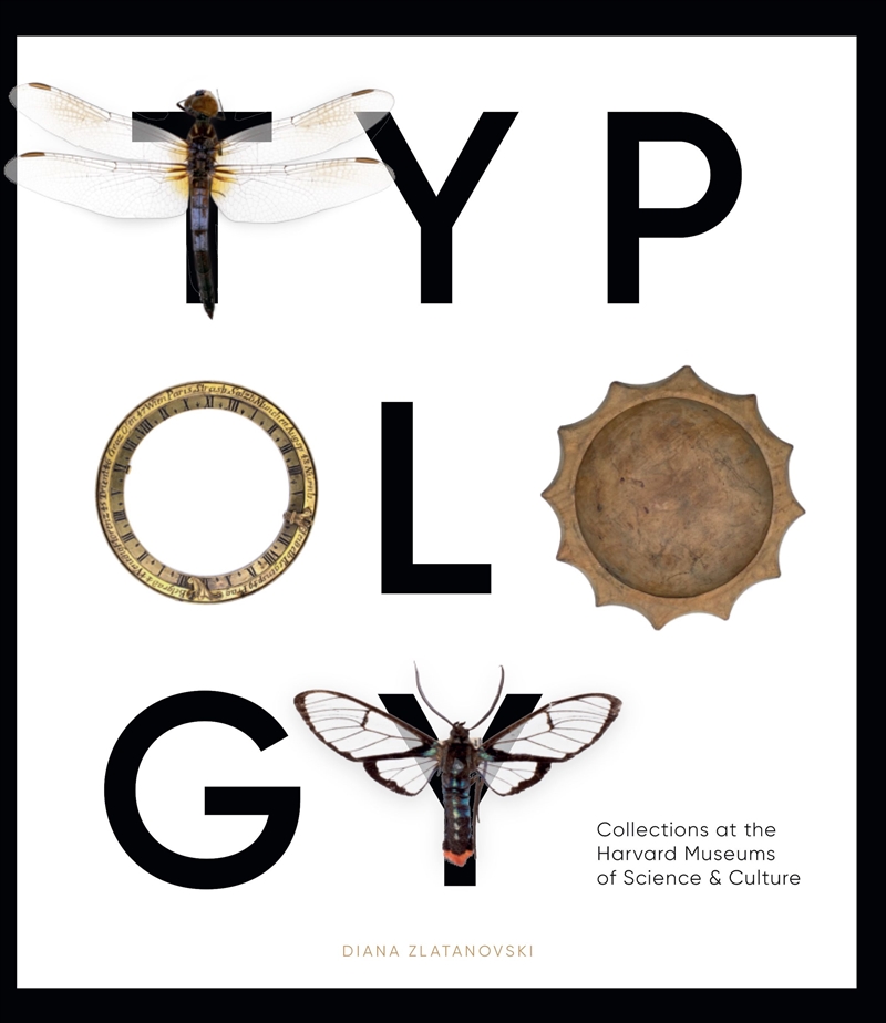 Typology/Product Detail/Art