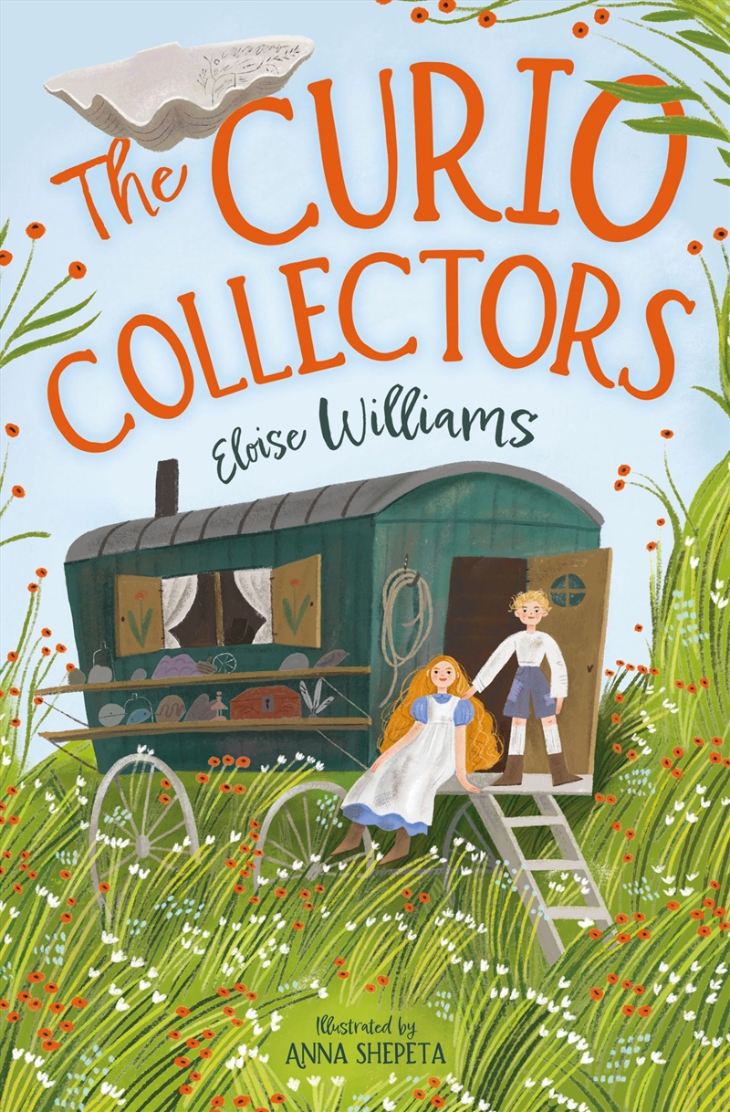 The Curio Collectors/Product Detail/Childrens Fiction Books