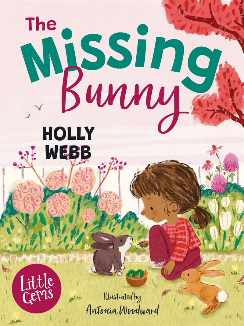 The Missing Bunny/Product Detail/Childrens Fiction Books