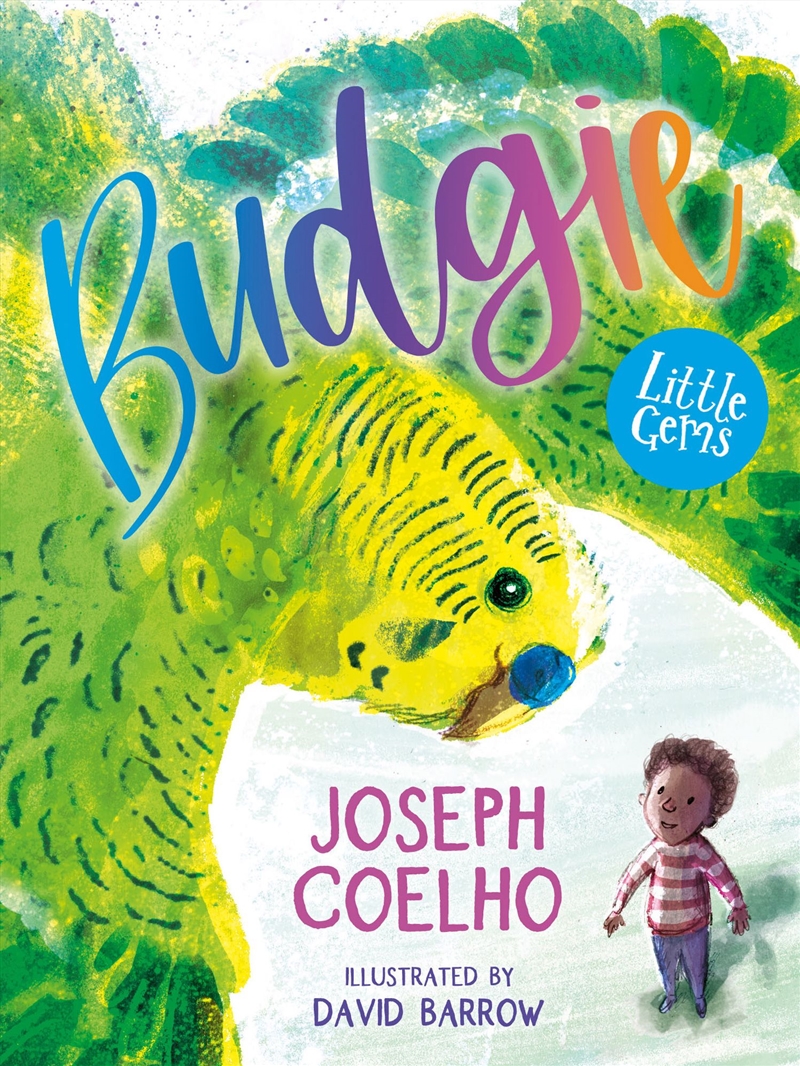 Budgie/Product Detail/Childrens Fiction Books