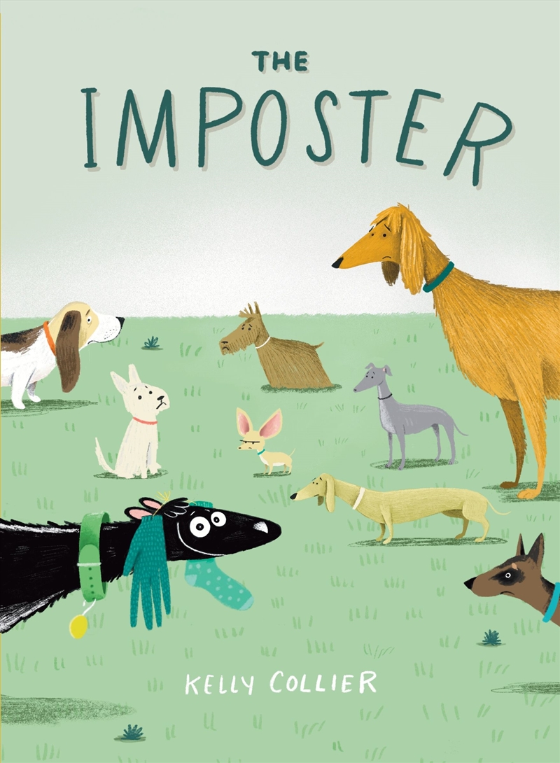 The Imposter/Product Detail/Childrens Fiction Books