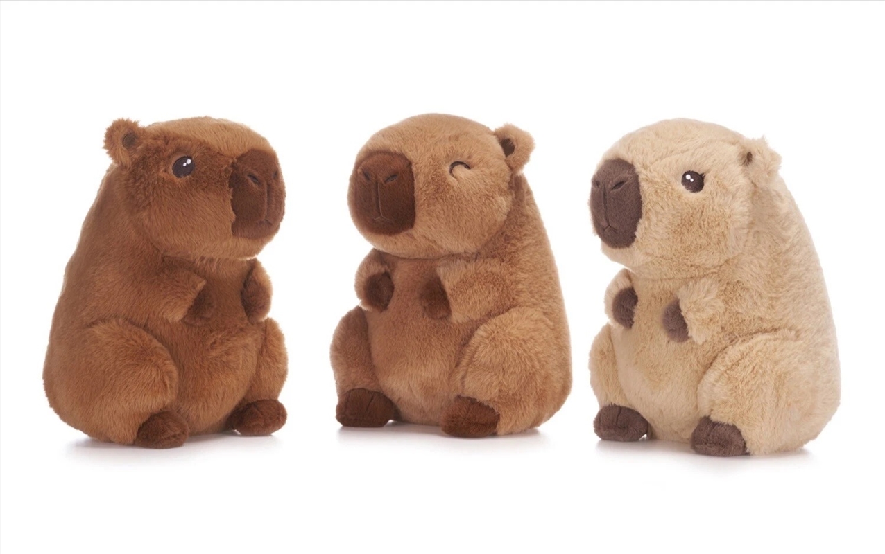 Kawaii Kuties Capybara 22cm (SENT AT RANDOM)/Product Detail/Toys