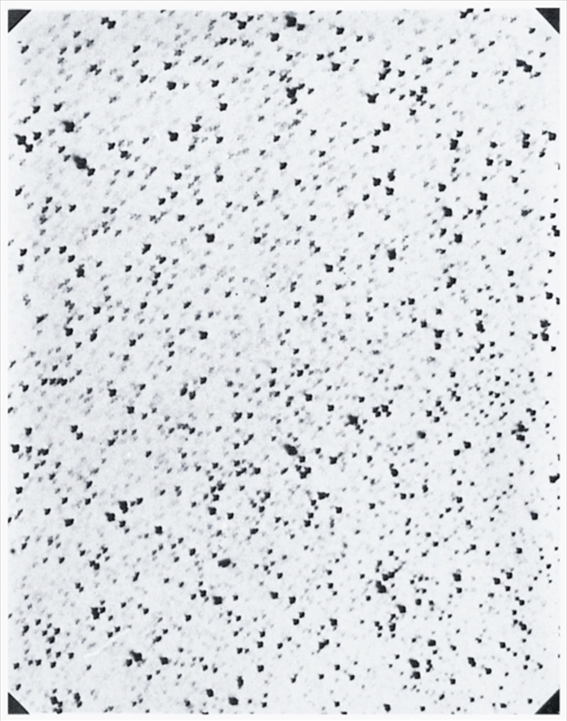 Andrea Ferrari: By Means Of The Sun/Product Detail/Art