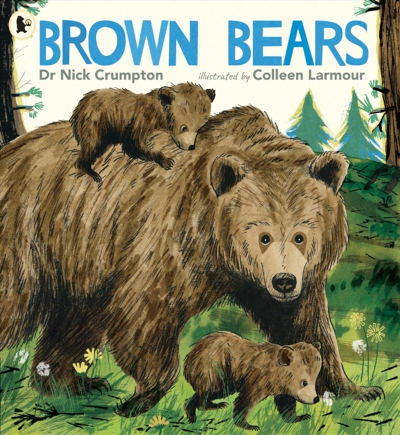 Brown Bears/Product Detail/Early Childhood Fiction Books