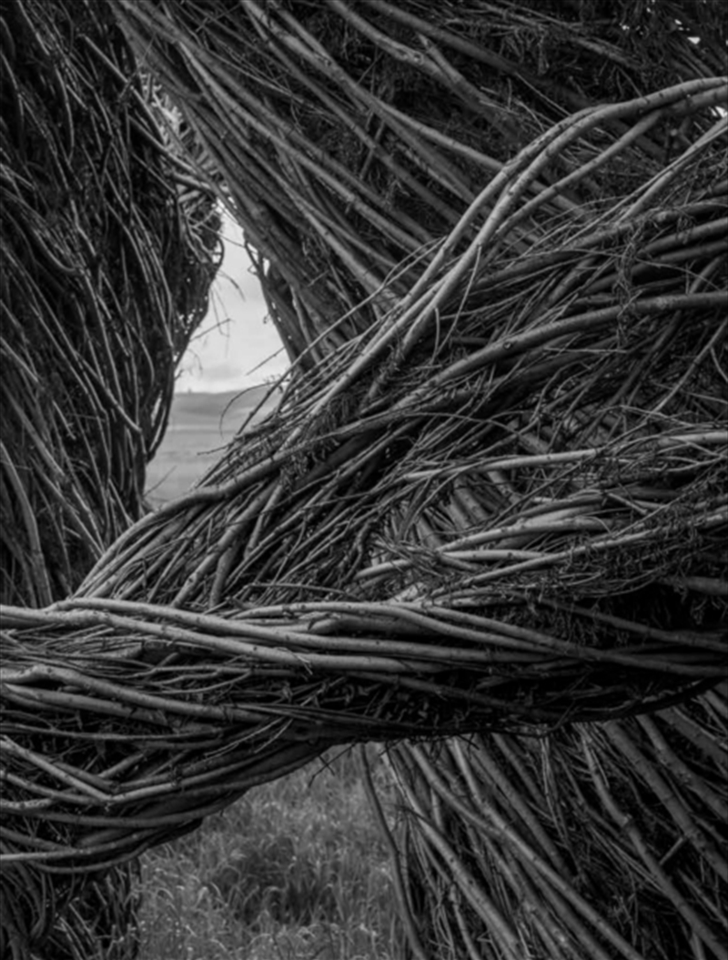 Patrick Dougherty  James Florio: Sticks/Product Detail/Art