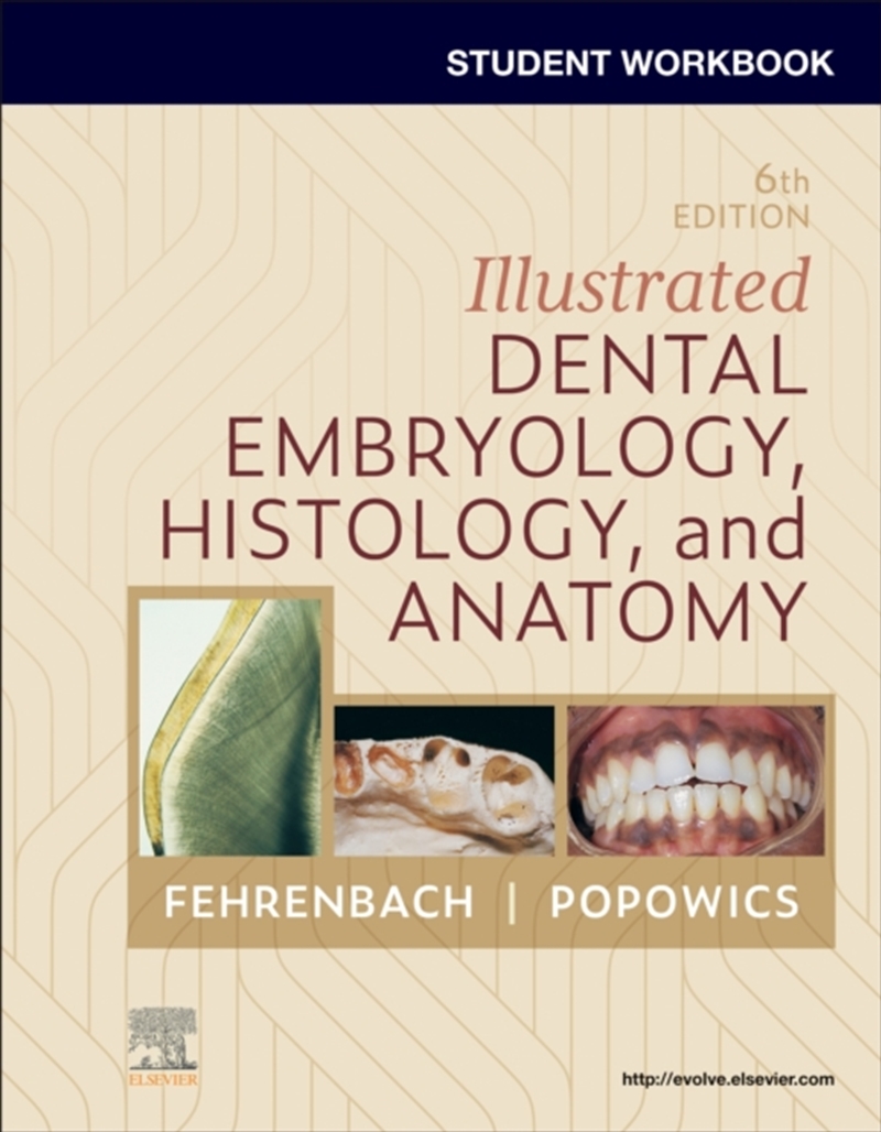 Student Workbook For Illustrated Dental Embryology, Histology And Anatomy/Product Detail/Healthcare