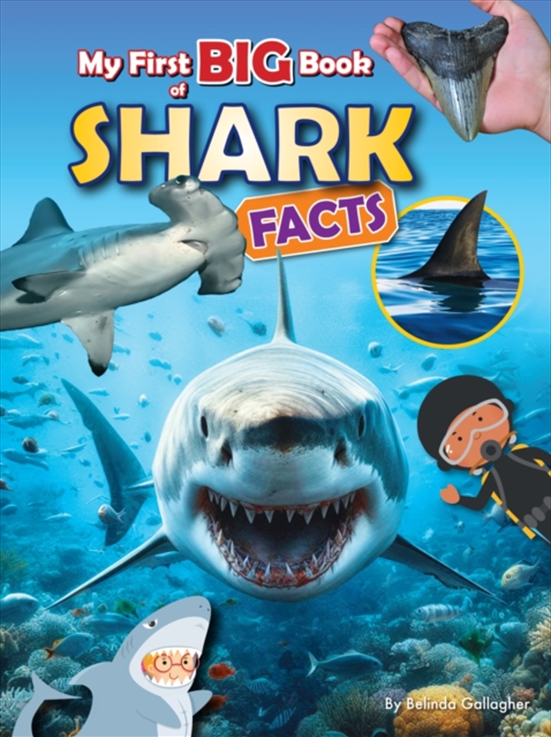 My First Big Book Of Shark Facts/Product Detail/Childrens