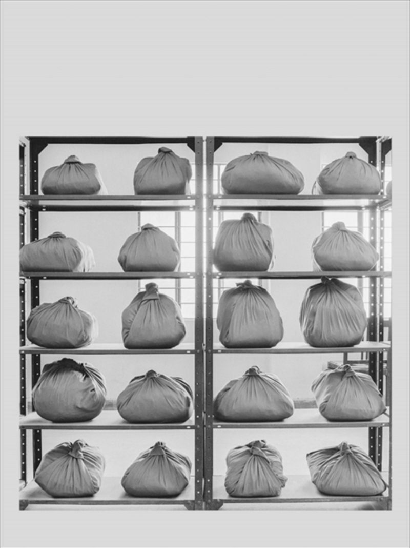 Dayanita Singh: Pothi Khana/Product Detail/Art