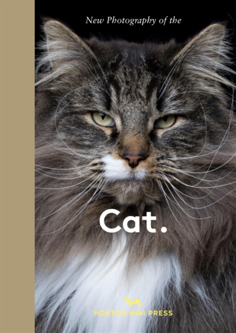 New Photography Of The Cat. : The Best New Photography Of Cats./Product Detail/Photography