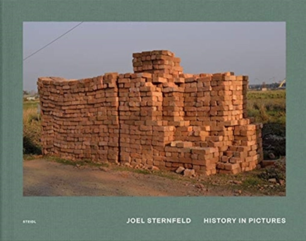 Joel Sternfeld: History In Pictures/Product Detail/Art