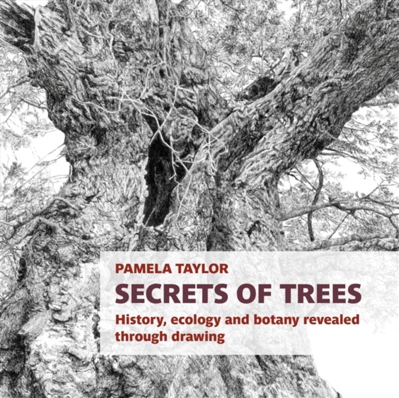Secrets Of Trees : History, Ecology And Botany Revealed Through Drawing/Product Detail/Art