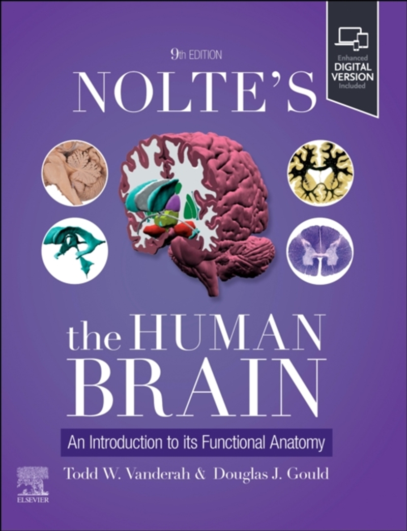 Nolte'S The Human Brain : An Introduction To Its Functional Anatomy/Product Detail/Healthcare