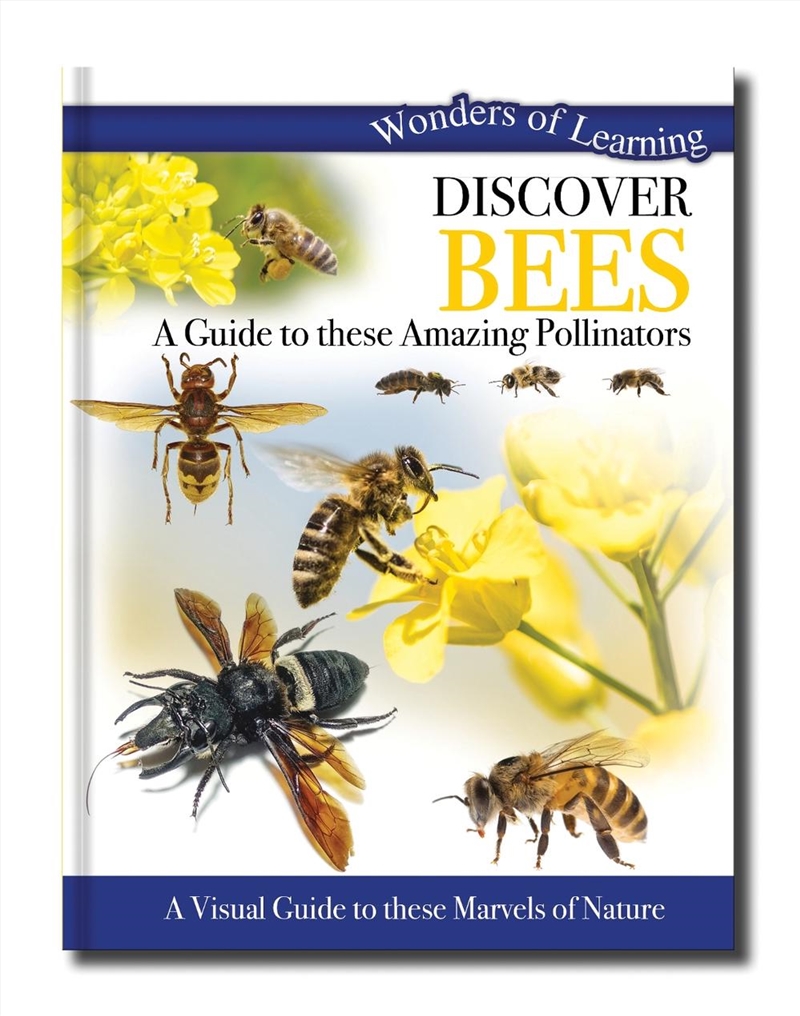 Wonders Of Learning - Bees/Product Detail/Children