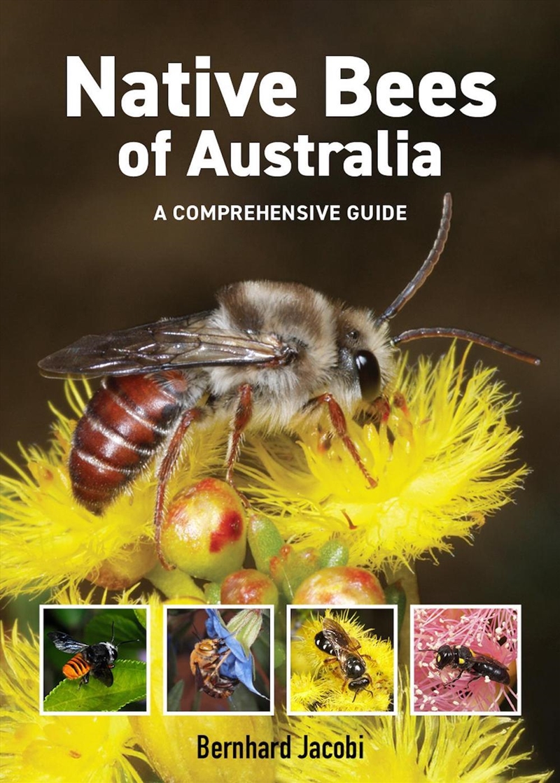 Native Bees Of Australia/Product Detail/Animals & Nature