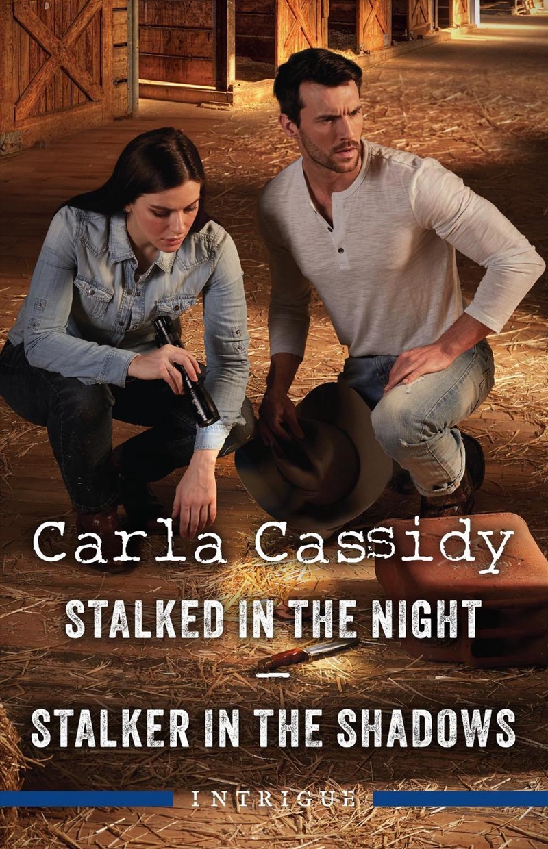 Stalked In The Night/Stalker In The Shadows/Product Detail/Romance