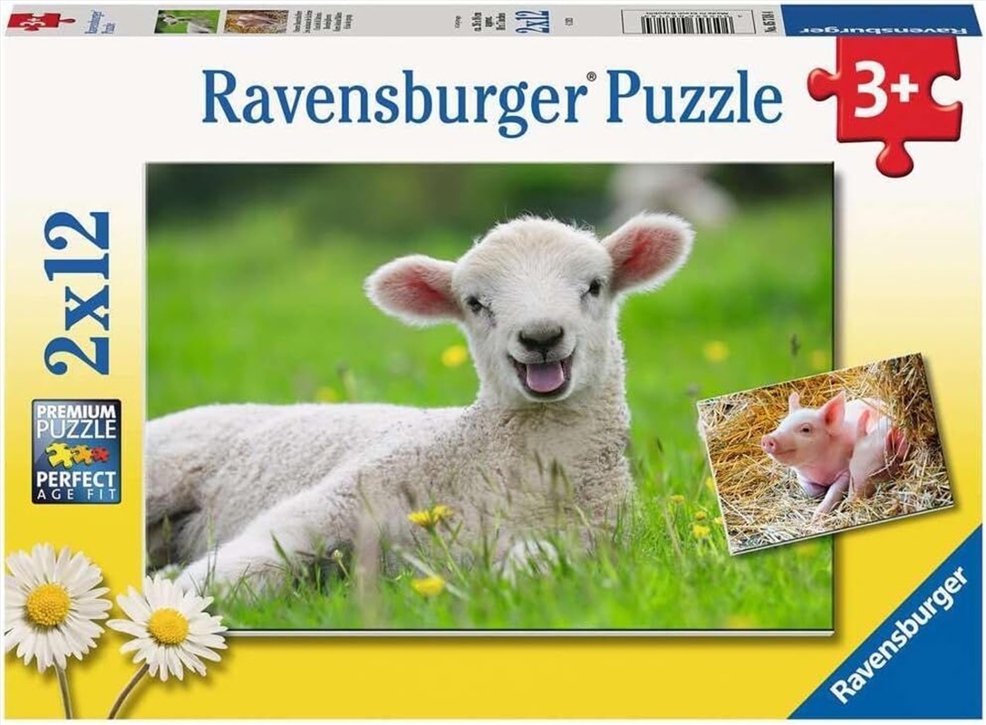 Farm Animals Babies 2x12p/Product Detail/Jigsaw Puzzles