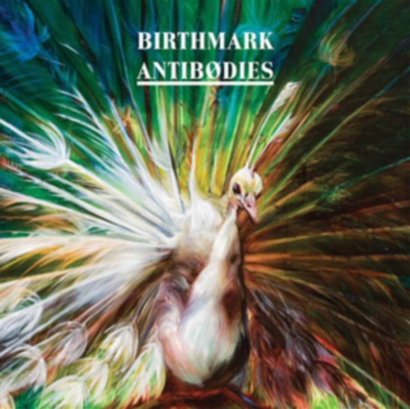 Antibodies/Product Detail/Rock/Pop