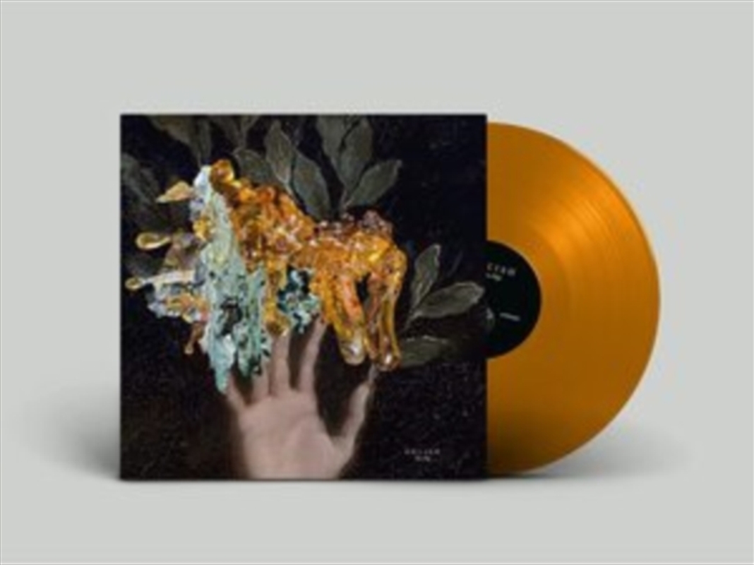 The Dip/Product Detail/Dance