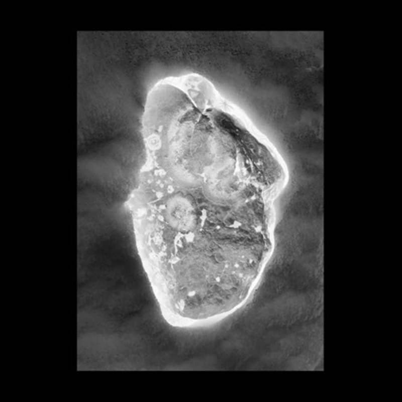 In Vitro/Product Detail/Dance