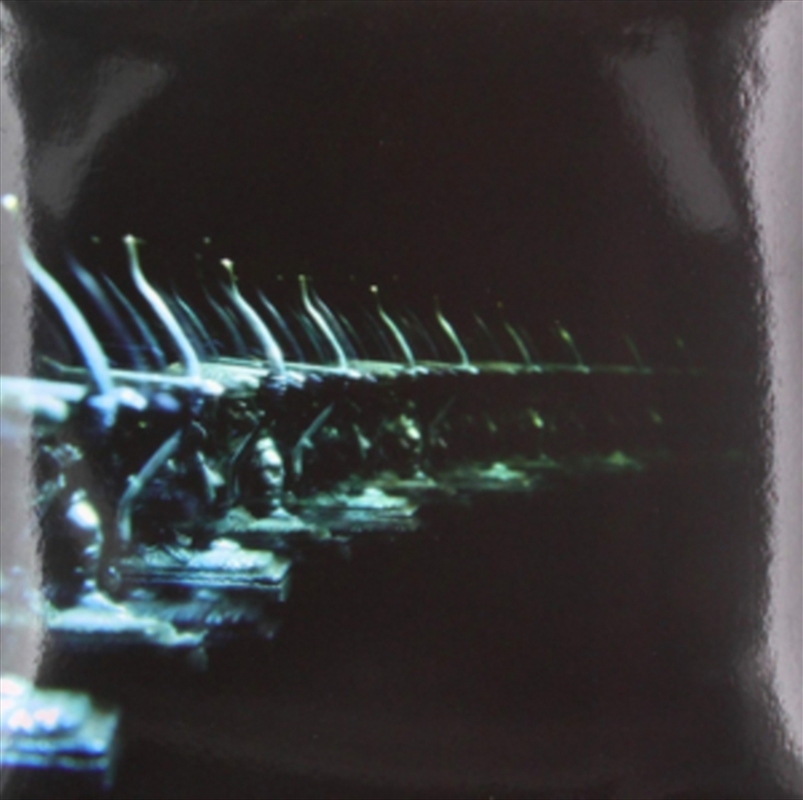 Ellipsis/Product Detail/Dance