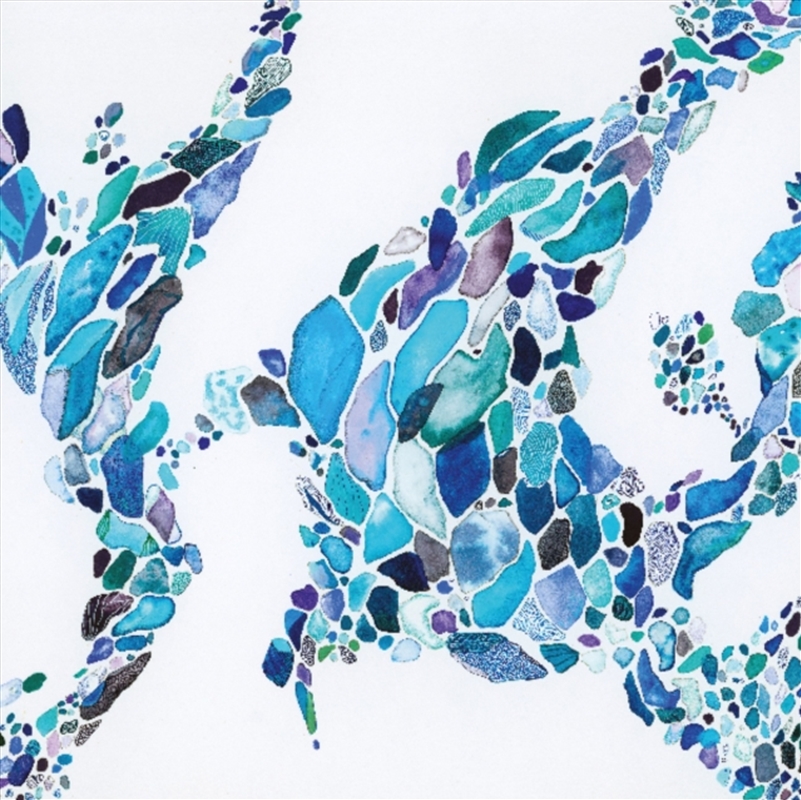 Shades/Product Detail/Dance