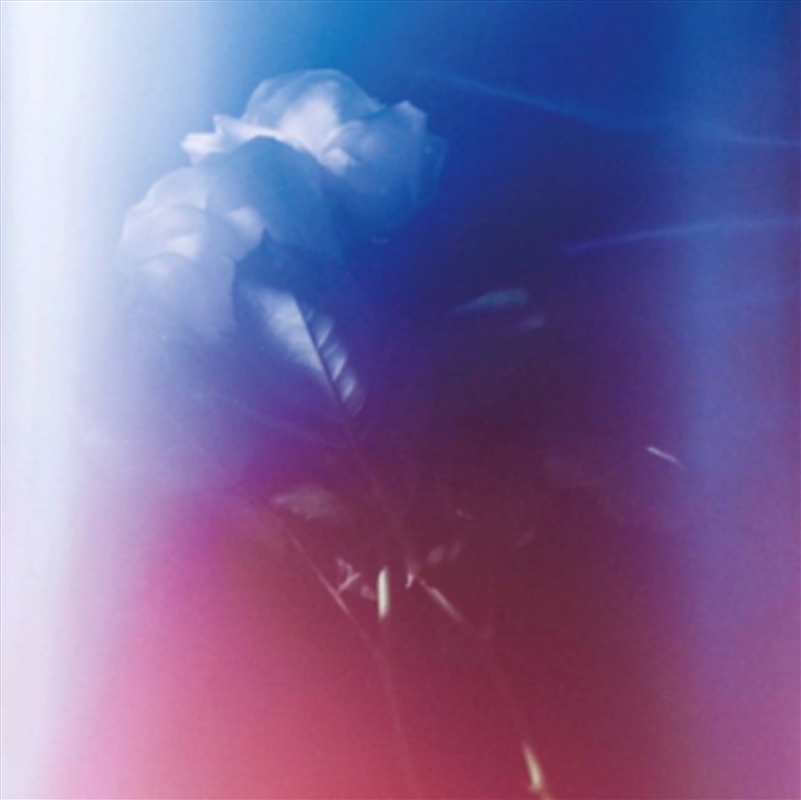 Face To Face/Product Detail/Dance