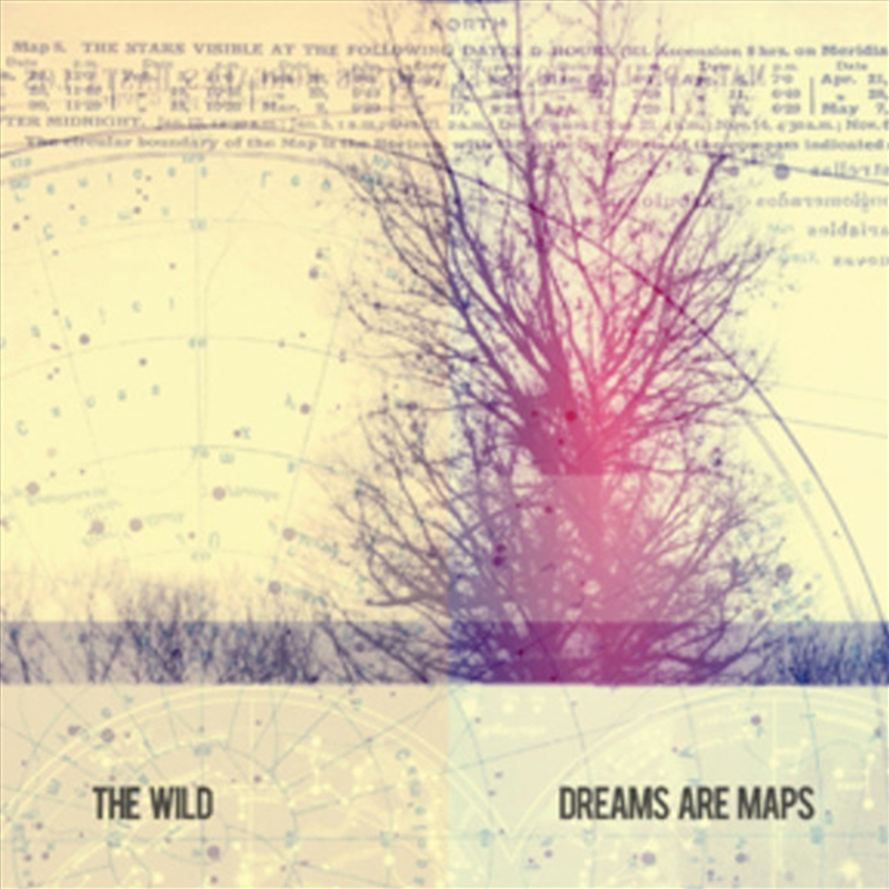 Dreams Are Maps/Product Detail/Dance