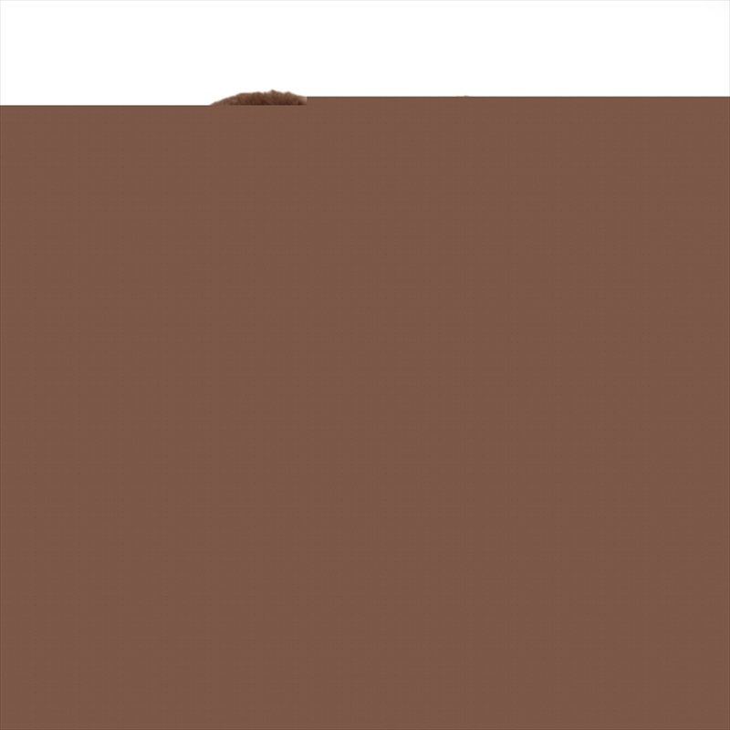 Dungeons & Dragons Demogorgon Phunny Plush by Kidrobot/Product Detail/Plush Toys