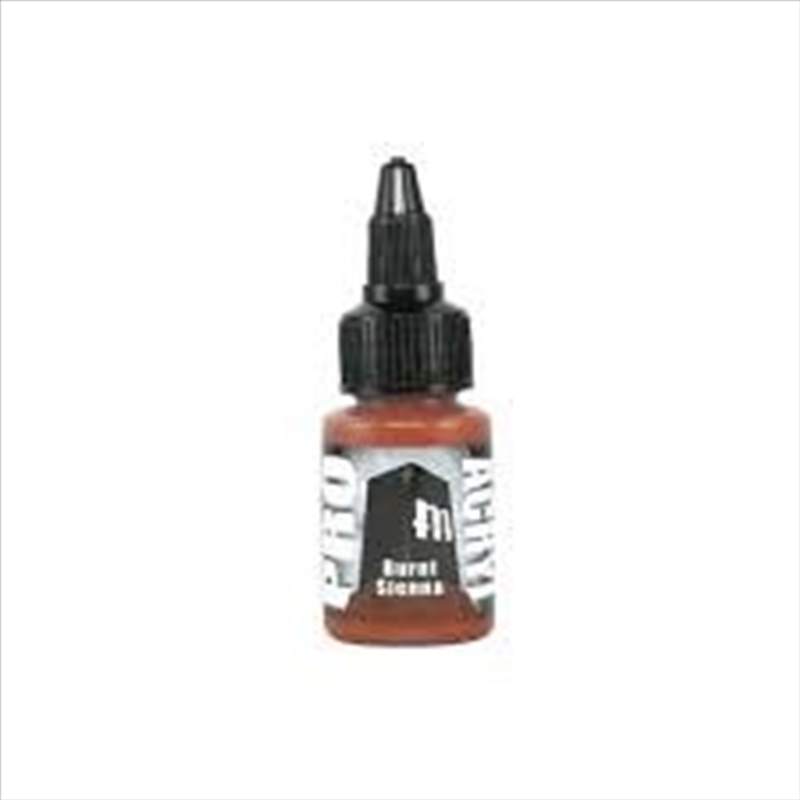 Monument Pro Acryl - Burnt Sienna 22ml/Product Detail/Paints