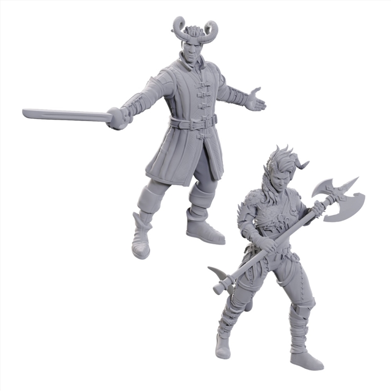 D&D Nolzur's Marvelous Miniatures: Special Edition Baldur's Gate 3: Wyll & Karlach/Product Detail/RPG Games