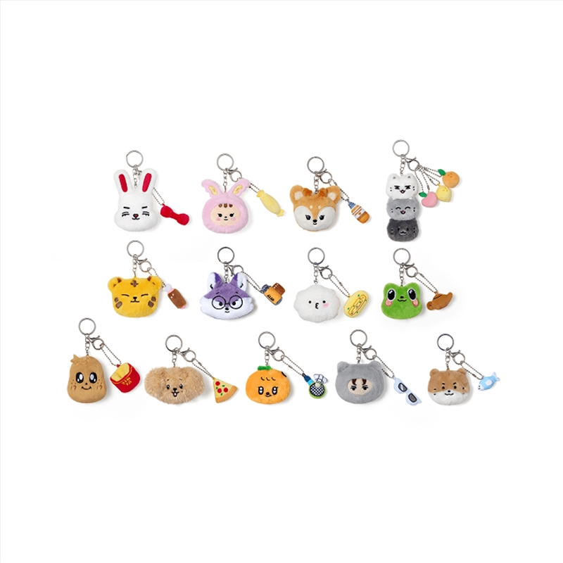 Seventeen - Miniteen 2nd Official Md Face Plush Keyring - Shuasumi/Product Detail/KPOP Merch