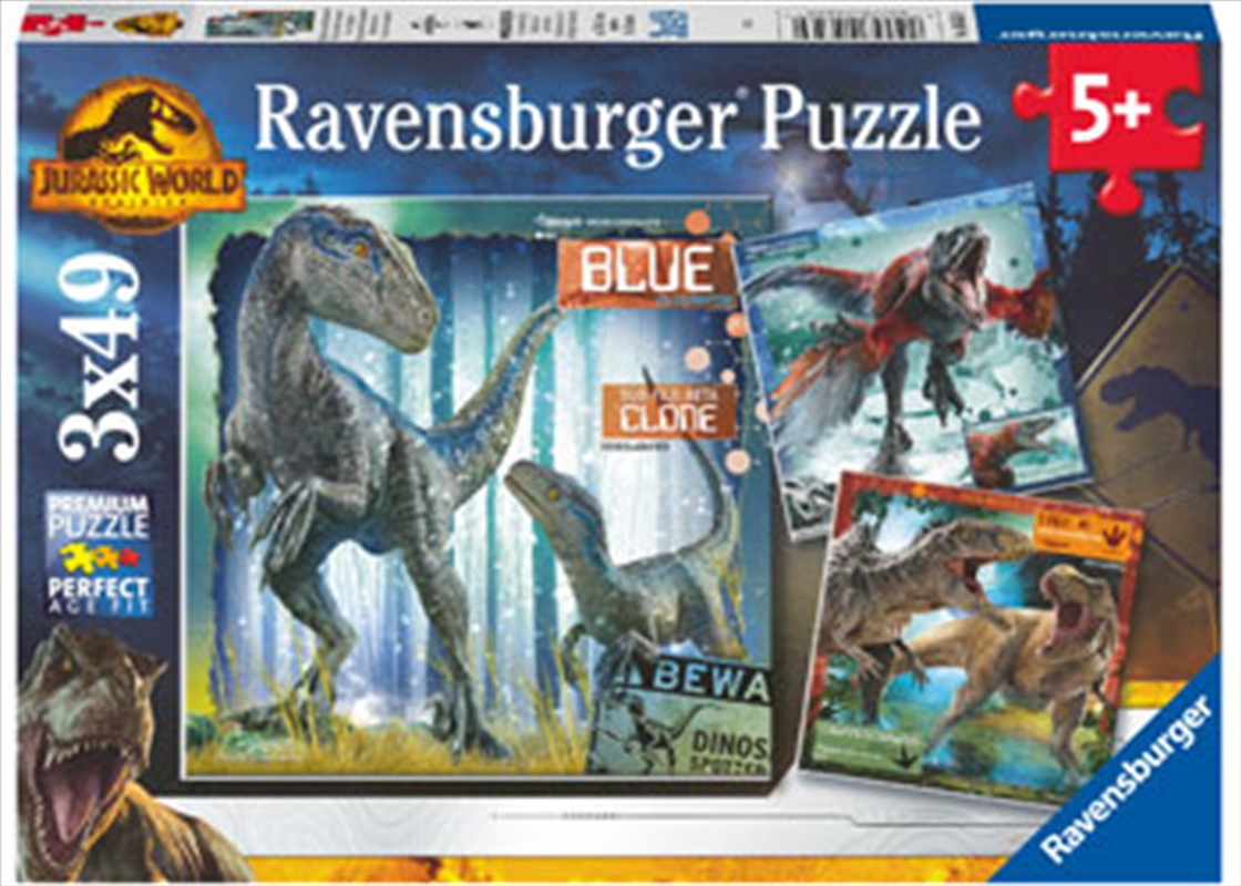 Restricted Access 3x49p/Product Detail/Jigsaw Puzzles