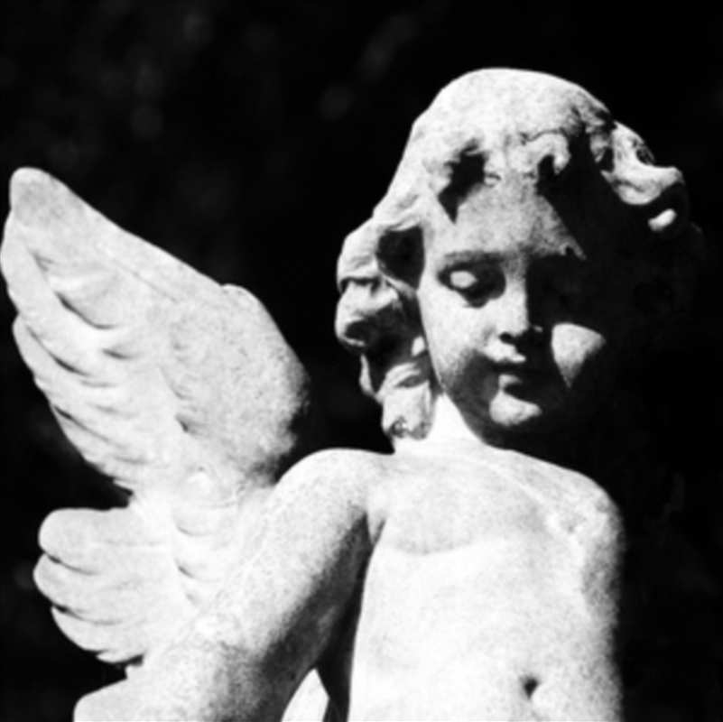 Passion Depression - Black Glitter Vinyl/Product Detail/Alternative