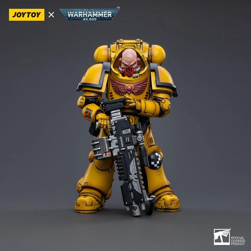 Warhammer Collectibles: 1/18 Scale Imperial Fists Heavy Intercessors 2/Product Detail/Figurines