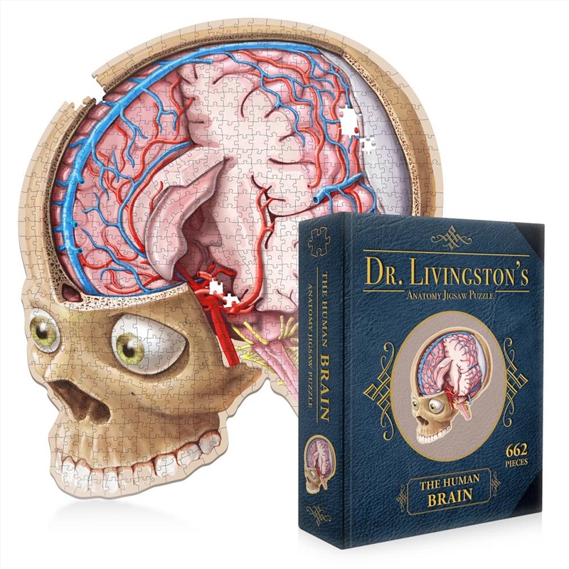 Dr. Livingston's Anatomy Jigsaw Puzzle: The Human Brain/Product Detail/Jigsaw Puzzles