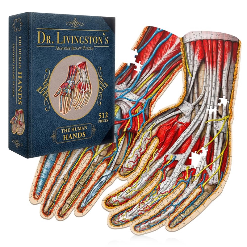 Dr. Livingston's Anatomy Jigsaw Puzzle: The Human Hands/Product Detail/Jigsaw Puzzles