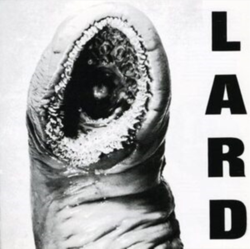 Power Of Lard/Product Detail/Rock/Pop