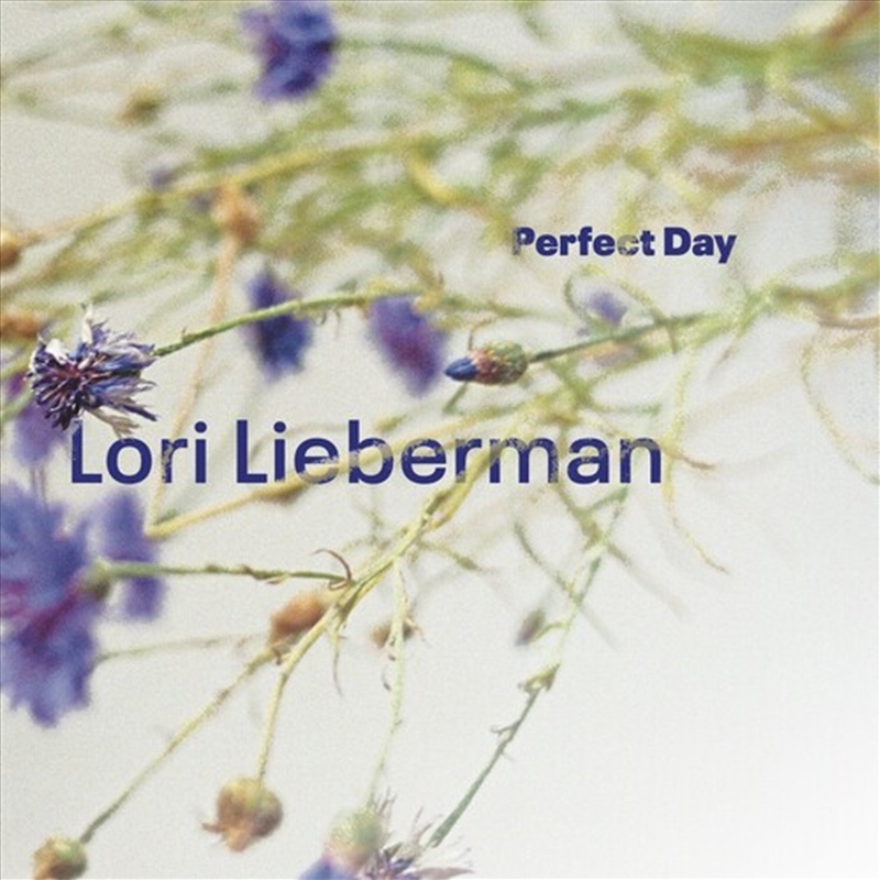 Perfect Day/Product Detail/Rock/Pop