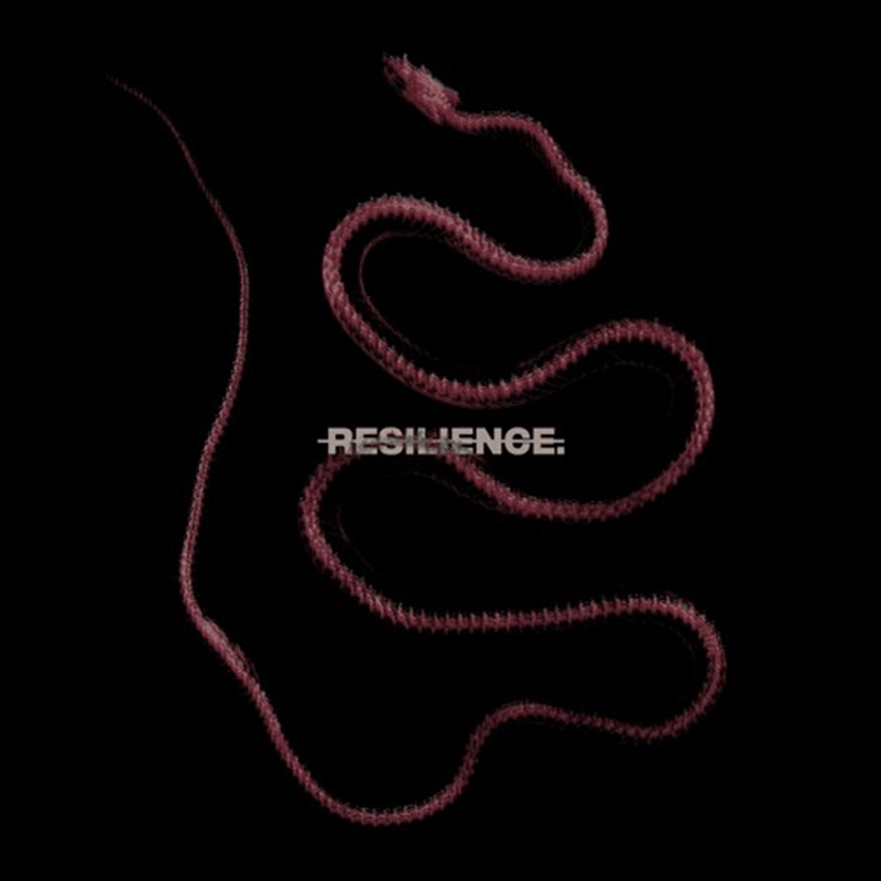 Resilience./Product Detail/Metal