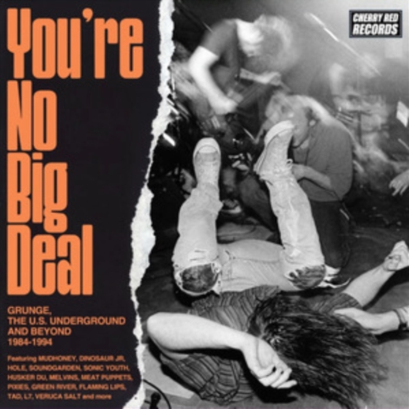 You're No Big Deal: Grunge Us Underground & Beyond/Product Detail/Rock/Pop