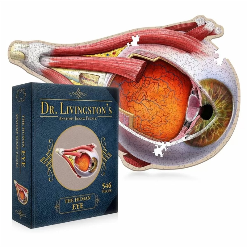 Dr. Livingston's Anatomy Jigsaw Puzzle: The Human Eye/Product Detail/Jigsaw Puzzles